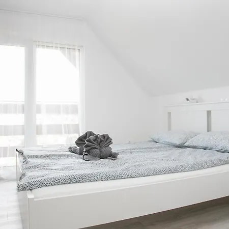 Kardos * 西格利盖特