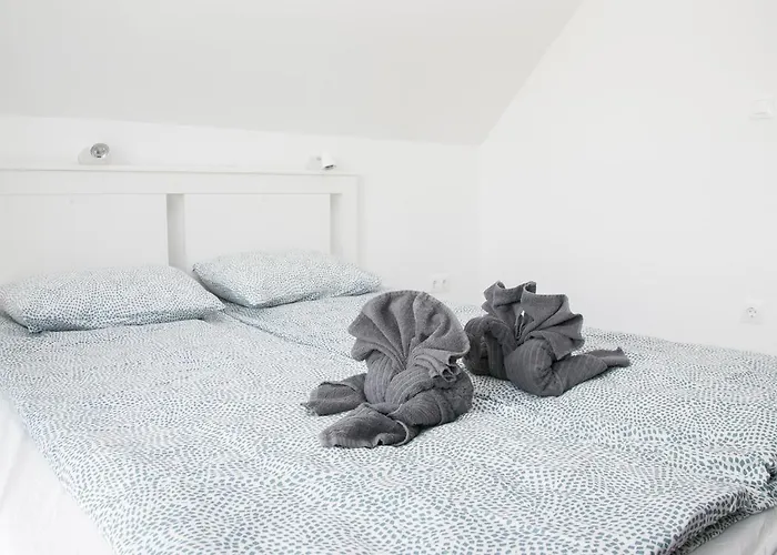 Kardos סיגליגט